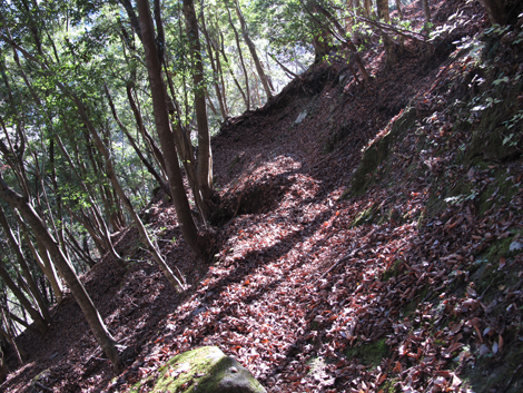 20161206hike (445)